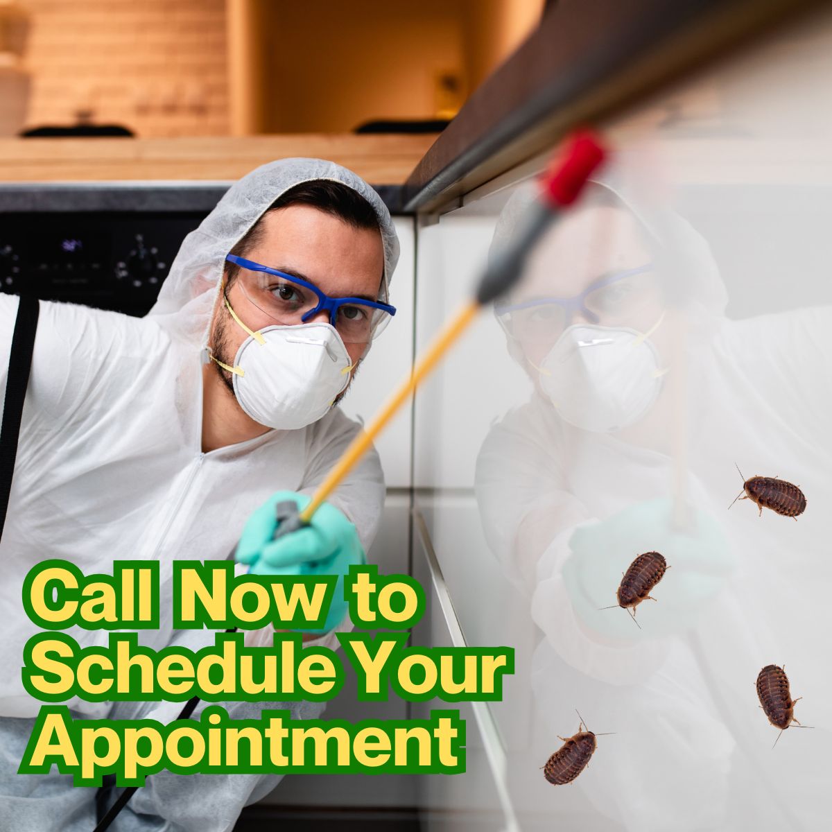 Pest problem scheduling promo